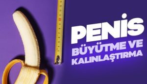 Penis Development Penis Büyütücü ve Ereksiyon Kremi